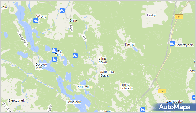mapa Silna Nowa, Silna Nowa na mapie Targeo