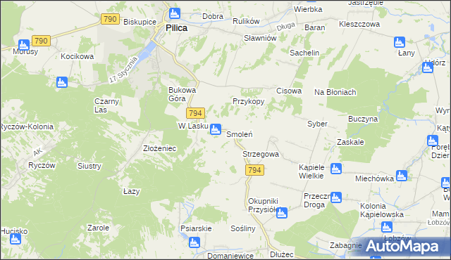 mapa Smoleń gmina Pilica, Smoleń gmina Pilica na mapie Targeo