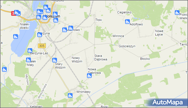 mapa Stara Dąbrowa gmina Wolsztyn, Stara Dąbrowa gmina Wolsztyn na mapie Targeo