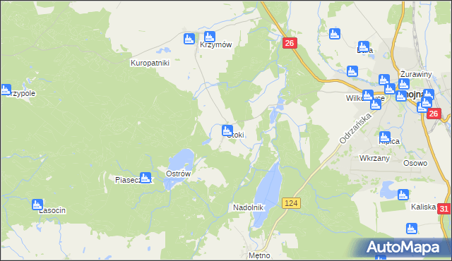 mapa Stoki gmina Chojna, Stoki gmina Chojna na mapie Targeo