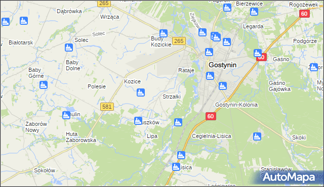 mapa Strzałki gmina Gostynin, Strzałki gmina Gostynin na mapie Targeo