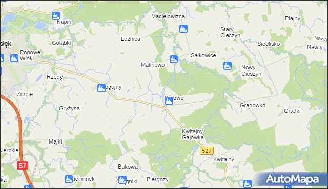 mapa Surowe gmina Pasłęk, Surowe gmina Pasłęk na mapie Targeo