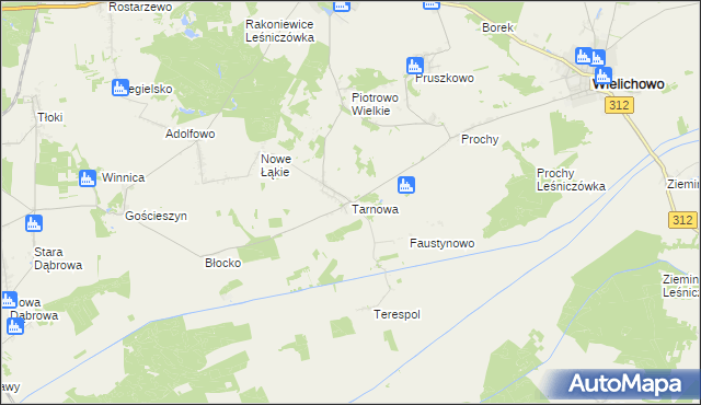 mapa Tarnowa gmina Rakoniewice, Tarnowa gmina Rakoniewice na mapie Targeo