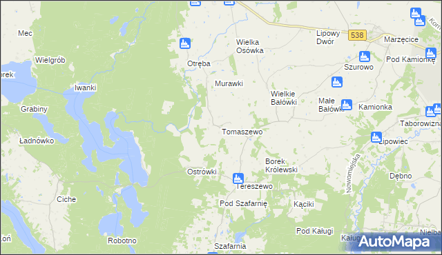 mapa Tomaszewo gmina Kurzętnik, Tomaszewo gmina Kurzętnik na mapie Targeo