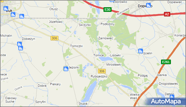 mapa Tomice gmina Stęszew, Tomice gmina Stęszew na mapie Targeo