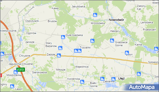 mapa Trzcianki gmina Nowodwór, Trzcianki gmina Nowodwór na mapie Targeo