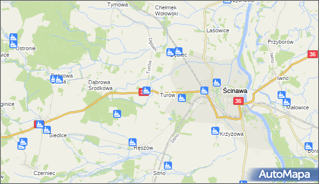 mapa Turów gmina Ścinawa, Turów gmina Ścinawa na mapie Targeo