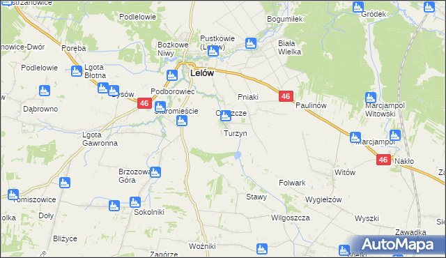 mapa Turzyn gmina Lelów, Turzyn gmina Lelów na mapie Targeo