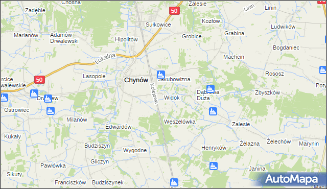 mapa Widok gmina Chynów, Widok gmina Chynów na mapie Targeo