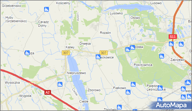 mapa Więckowice gmina Dopiewo, Więckowice gmina Dopiewo na mapie Targeo
