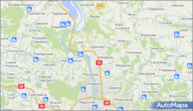 mapa Wielogłowy gmina Chełmiec, Wielogłowy gmina Chełmiec na mapie Targeo
