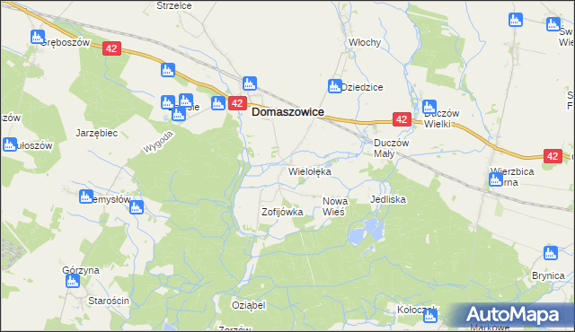 mapa Wielołęka gmina Domaszowice, Wielołęka gmina Domaszowice na mapie Targeo