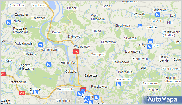 mapa Wielopole gmina Chełmiec, Wielopole gmina Chełmiec na mapie Targeo