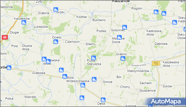 mapa Witoldów gmina Przytyk, Witoldów gmina Przytyk na mapie Targeo