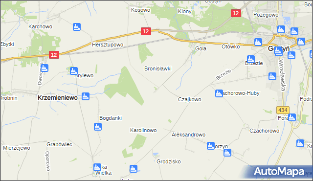 mapa Witoldowo gmina Gostyń, Witoldowo gmina Gostyń na mapie Targeo