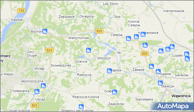 mapa Witoszyn gmina Kazimierz Dolny, Witoszyn gmina Kazimierz Dolny na mapie Targeo