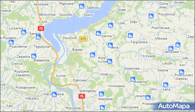 mapa Wola Kurowska, Wola Kurowska na mapie Targeo