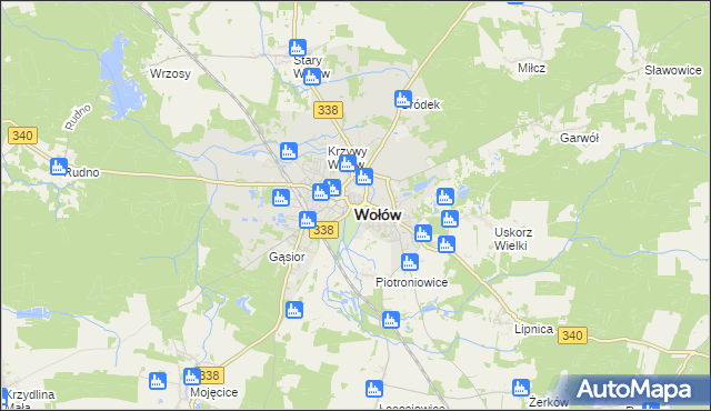 mapa Wołów, Wołów na mapie Targeo