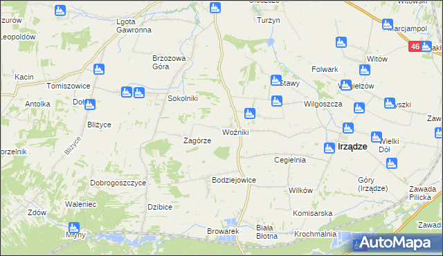 mapa Woźniki gmina Irządze, Woźniki gmina Irządze na mapie Targeo