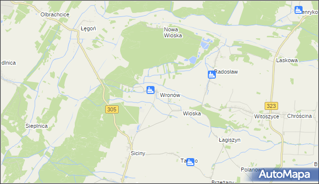 mapa Wronów gmina Niechlów, Wronów gmina Niechlów na mapie Targeo