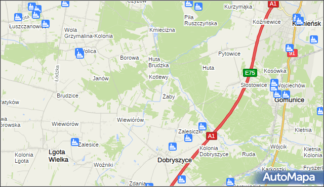mapa Żaby gmina Dobryszyce, Żaby gmina Dobryszyce na mapie Targeo