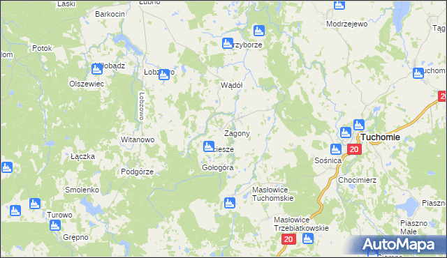 mapa Zagony gmina Tuchomie, Zagony gmina Tuchomie na mapie Targeo