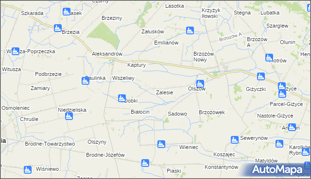 mapa Zalesie gmina Iłów, Zalesie gmina Iłów na mapie Targeo