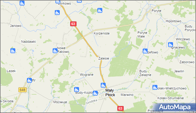 mapa Zalesie gmina Mały Płock, Zalesie gmina Mały Płock na mapie Targeo