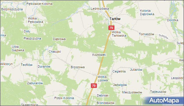 mapa Kozłówek gmina Tarłów, Kozłówek gmina Tarłów na mapie Targeo