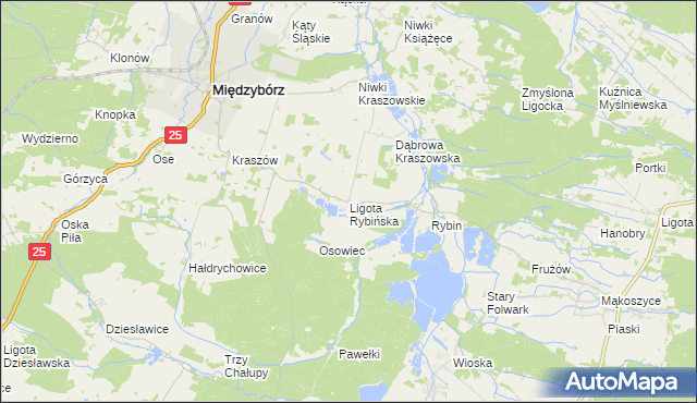 mapa Ligota Rybińska, Ligota Rybińska na mapie Targeo