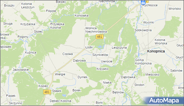 mapa Szynkielów, Szynkielów na mapie Targeo