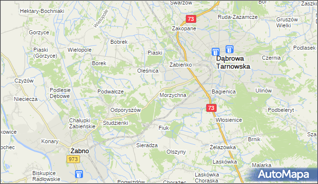 mapa Morzychna, Morzychna na mapie Targeo