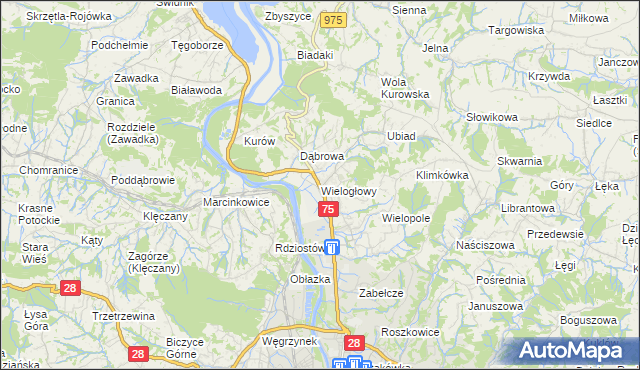 mapa Wielogłowy gmina Chełmiec, Wielogłowy gmina Chełmiec na mapie Targeo