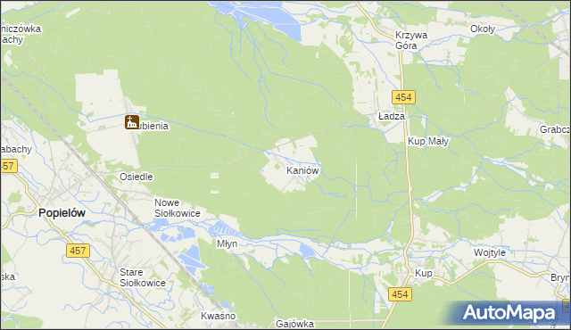 mapa Kaniów gmina Popielów, Kaniów gmina Popielów na mapie Targeo