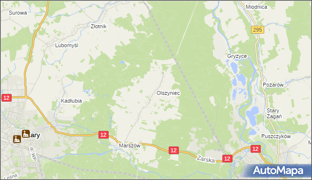 mapa Olszyniec gmina Żary, Olszyniec gmina Żary na mapie Targeo