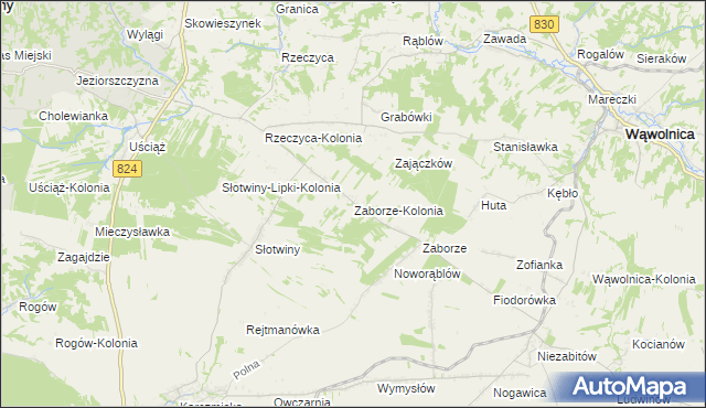 mapa Zaborze-Kolonia, Zaborze-Kolonia na mapie Targeo