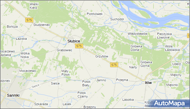 mapa Grzybów gmina Słubice, Grzybów gmina Słubice na mapie Targeo