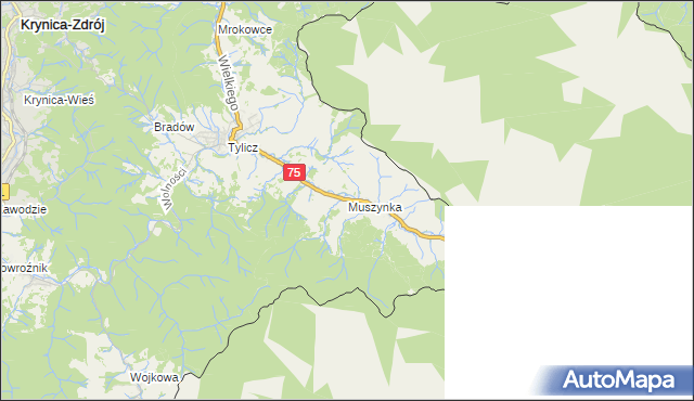 mapa Muszynka, Muszynka na mapie Targeo
