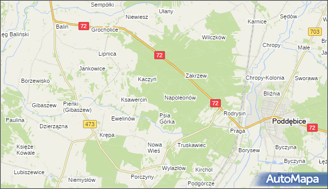 mapa Napoleonów gmina Poddębice, Napoleonów gmina Poddębice na mapie Targeo