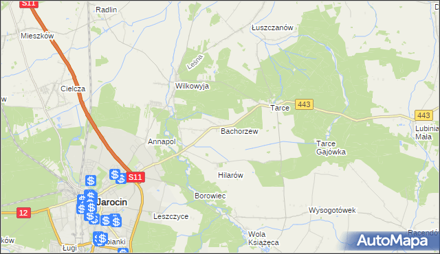 mapa Bachorzew, Bachorzew na mapie Targeo