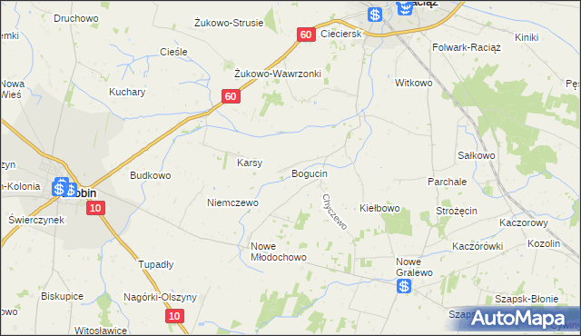 mapa Bogucin gmina Raciąż, Bogucin gmina Raciąż na mapie Targeo