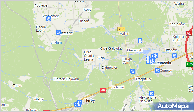 mapa Cisie gmina Blachownia, Cisie gmina Blachownia na mapie Targeo