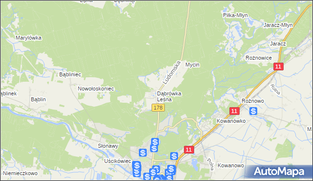 mapa Dąbrówka Leśna, Dąbrówka Leśna na mapie Targeo