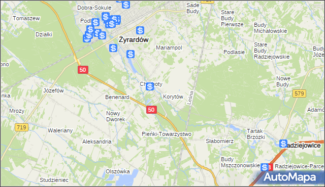 mapa Korytów gmina Radziejowice, Korytów gmina Radziejowice na mapie Targeo