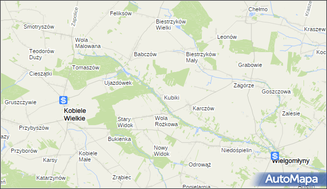mapa Kubiki gmina Wielgomłyny, Kubiki gmina Wielgomłyny na mapie Targeo