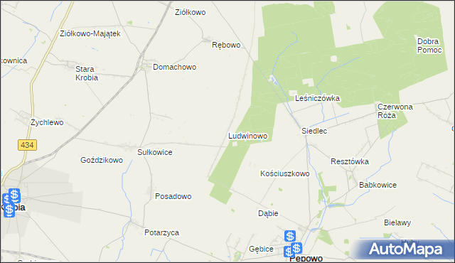 mapa Ludwinowo gmina Pępowo, Ludwinowo gmina Pępowo na mapie Targeo
