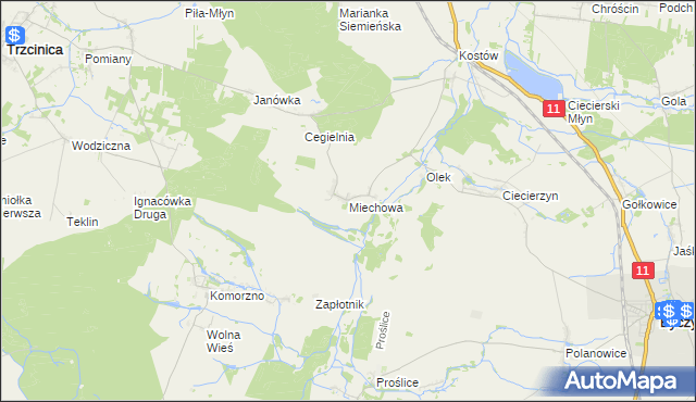 mapa Miechowa, Miechowa na mapie Targeo