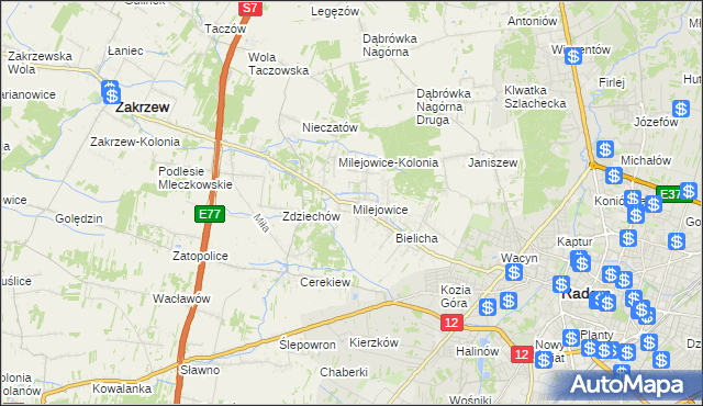 mapa Milejowice gmina Zakrzew, Milejowice gmina Zakrzew na mapie Targeo