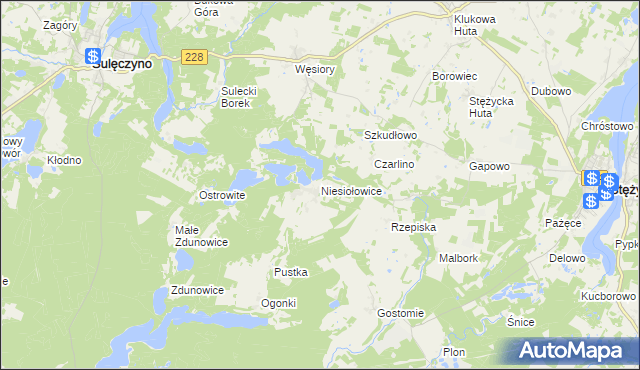 mapa Niesiołowice gmina Stężyca, Niesiołowice gmina Stężyca na mapie Targeo