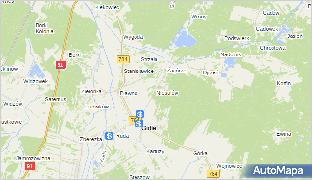 mapa Niesulów, Niesulów na mapie Targeo